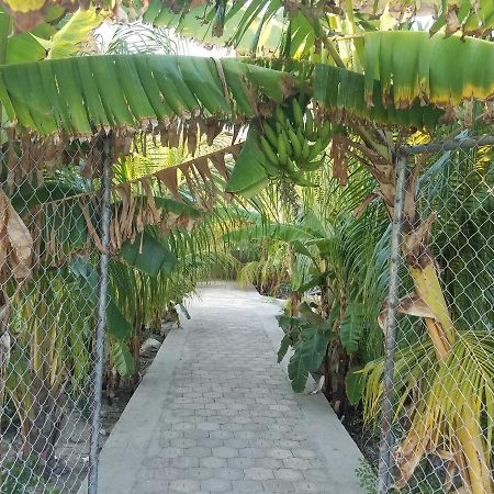 Auberge Pont-Gaudin Gonaives 외부 사진