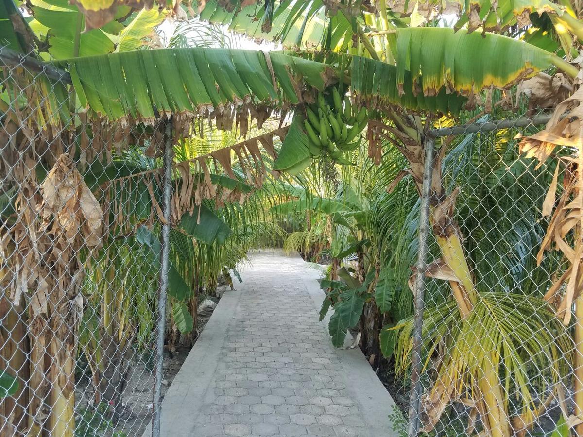 Auberge Pont-Gaudin Gonaives 외부 사진